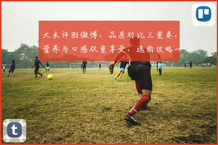 大米评测微博，品质对比三重奏，营养与口感双重享受，选购攻略一网打尽