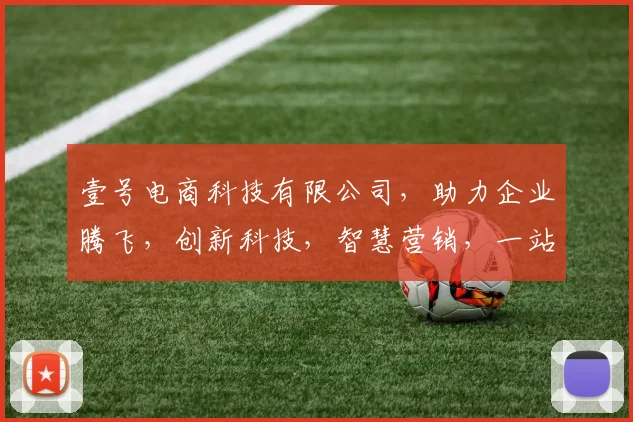 壹号电商科技有限公司，助力企业腾飞，创新科技，智慧营销，一站式解决方案，成就辉煌未来